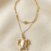 Tortue Collier Tortue Énigmatique