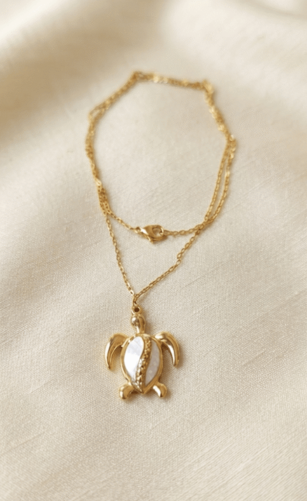 Tortue Collier Tortue Énigmatique