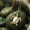Tortue Collier Tortue Énigmatique