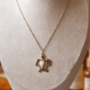 Tortue Collier Tortue Énigmatique
