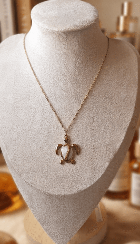 Tortue Collier Tortue Énigmatique