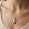 Tortue Collier Tortue Énigmatique