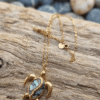 Tortue Collier Tortue Énigmatique