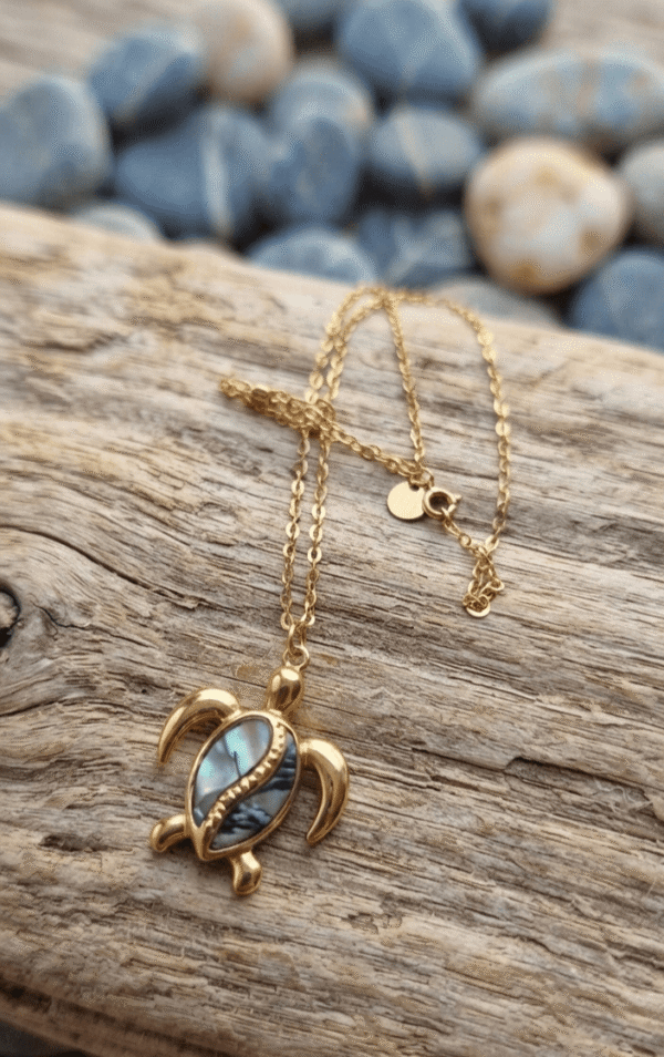 Tortue Collier Tortue Énigmatique