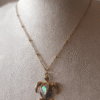 Tortue Collier Tortue Énigmatique