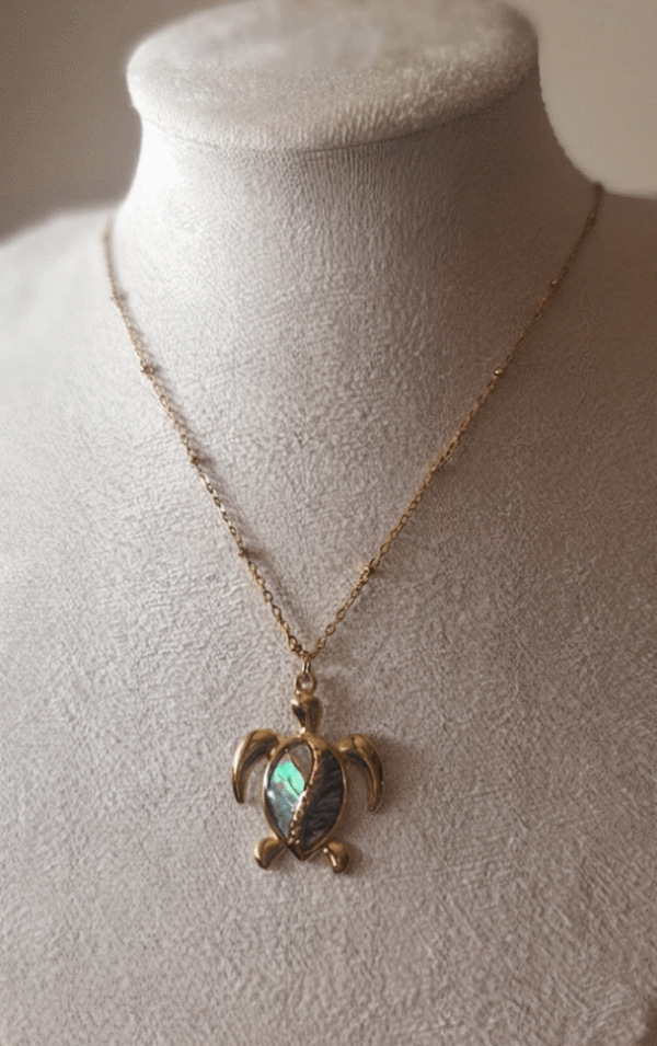 Tortue Collier Tortue Énigmatique