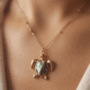 Tortue Collier Tortue Énigmatique
