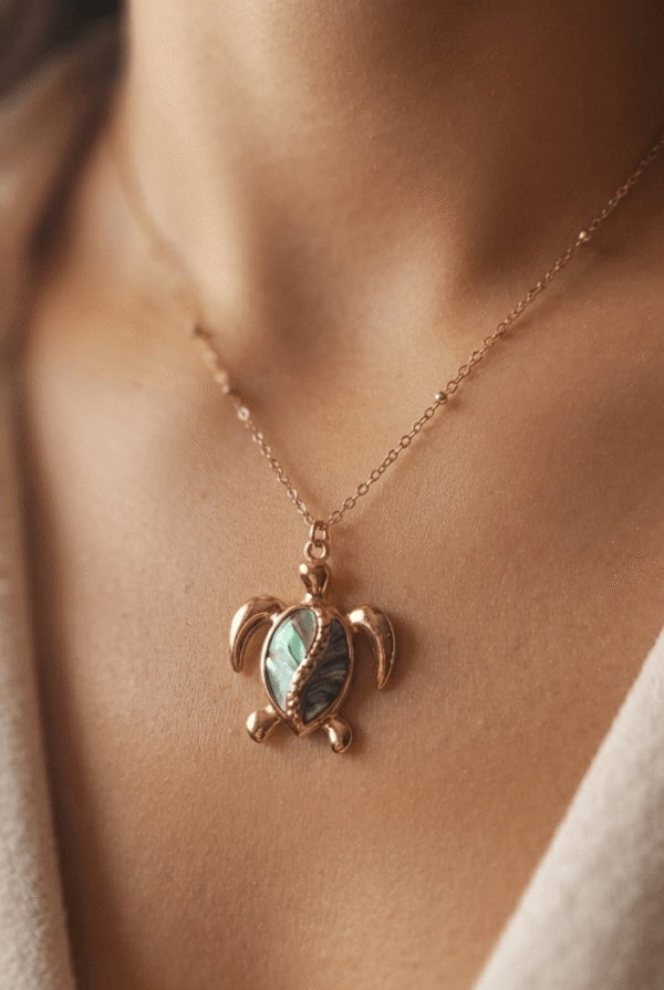 Tortue Collier Tortue Énigmatique