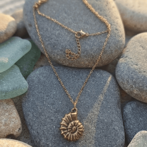 Collier Coquillage Ancestral