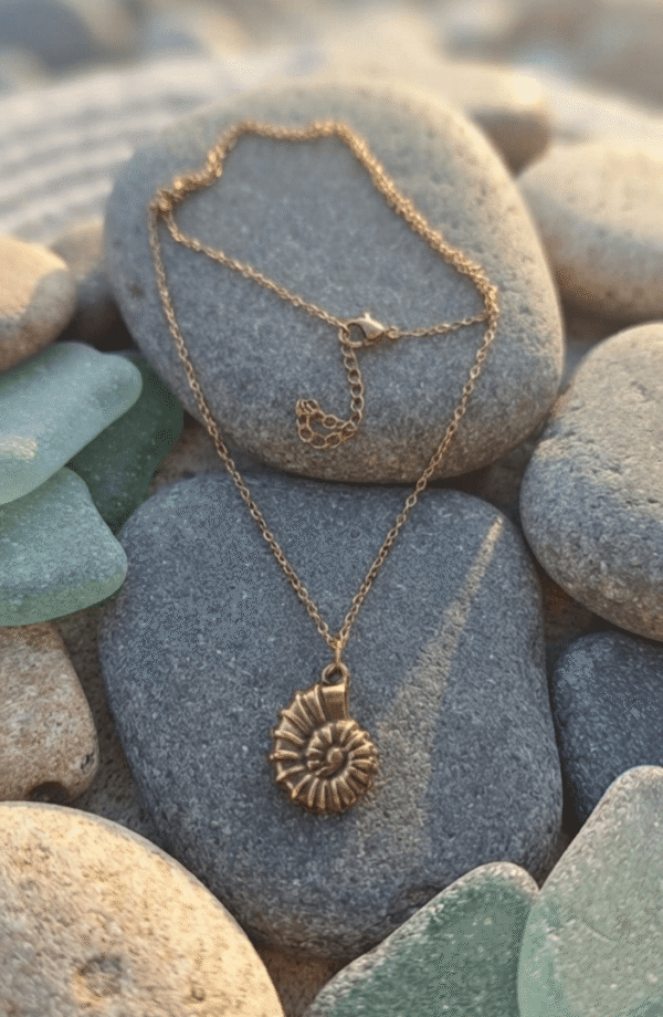 Coquillage Collier Coquillage Ancestral
