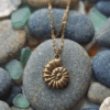 Coquillage Collier Coquillage Ancestral