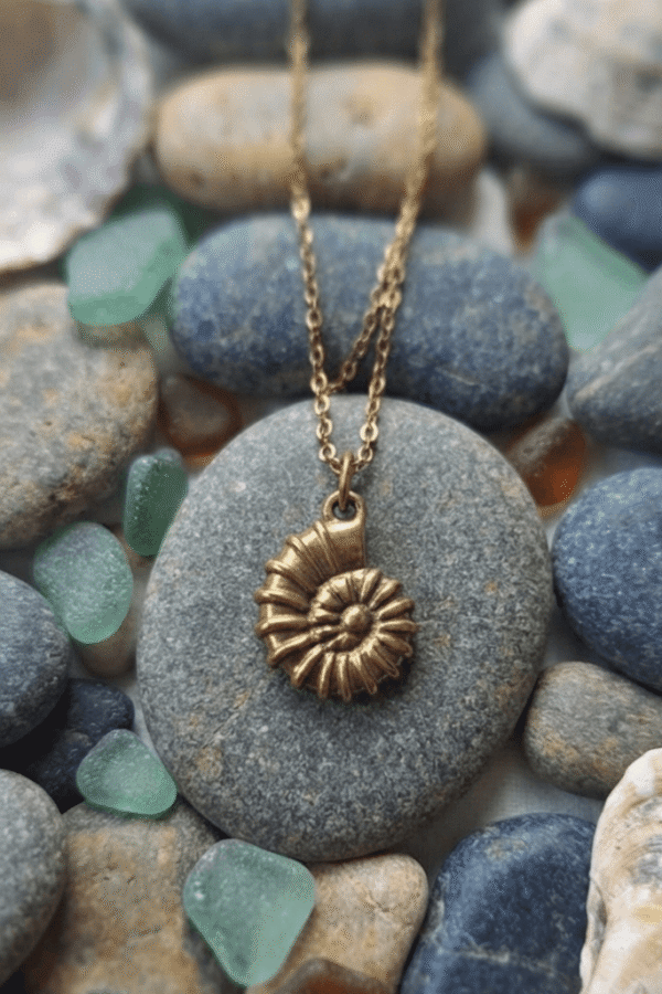 Coquillage Collier Coquillage Ancestral