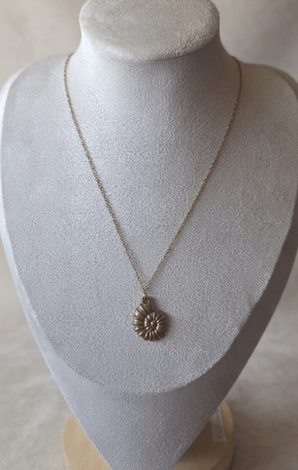 Coquillage Collier Coquillage Ancestral