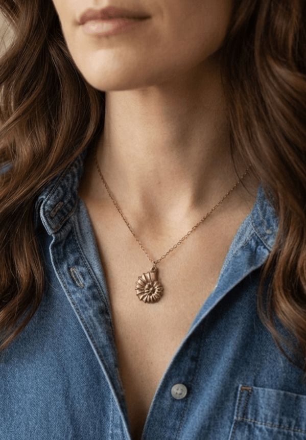 Coquillage Collier Coquillage Ancestral