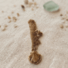Collier Coquillage Raffiné