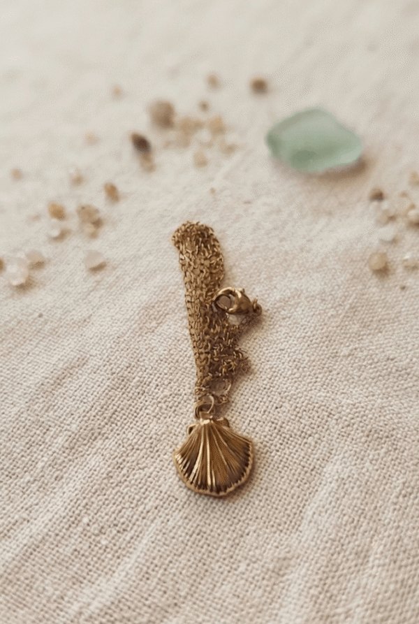 Collier Coquillage Raffiné