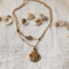 Collier Coquillage Raffiné