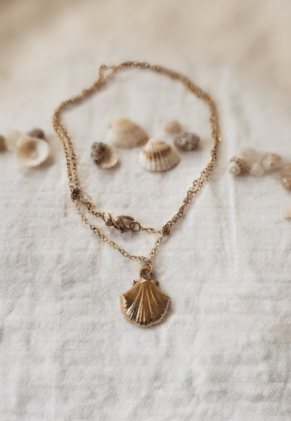 Collier Coquillage Raffiné