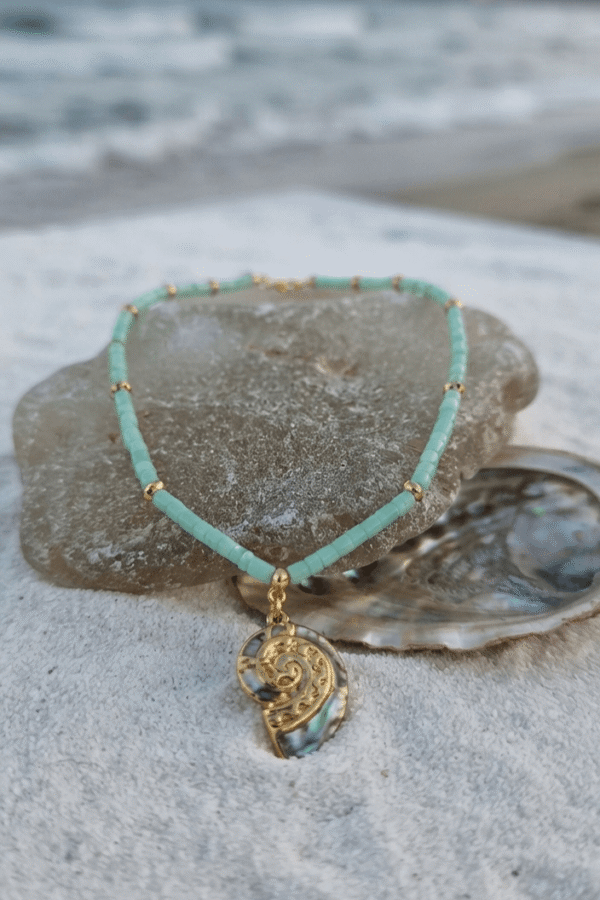 Coquillage Collier Brise Marine
