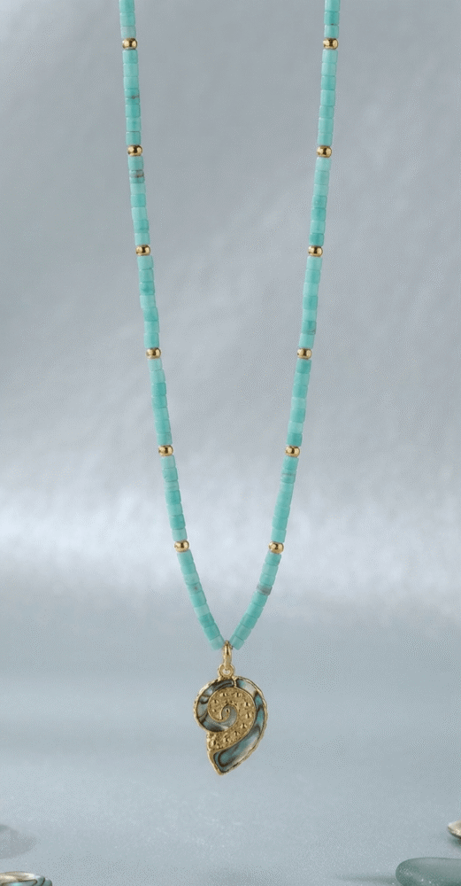 Coquillage Collier Brise Marine