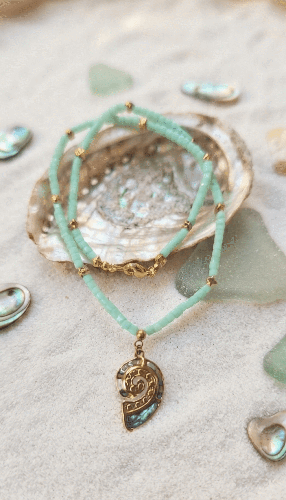 Coquillage Collier Brise Marine